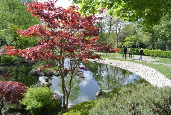 Kyoto Gardens, Londres Kyoto Gardens, Londres