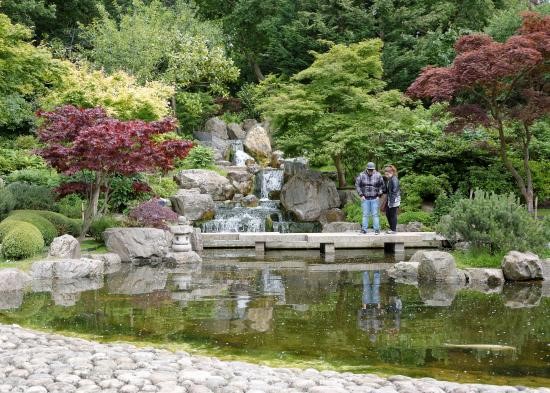 Kyoto Gardens, Londres Kyoto Gardens, Londres