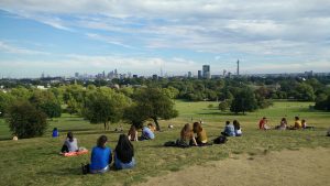 Primrose Hill, Londres