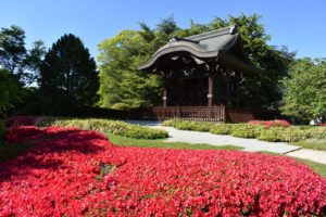 Royal Botanic Gardens