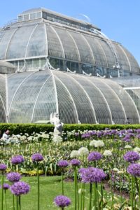 Palm House