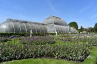 Kew Gardens