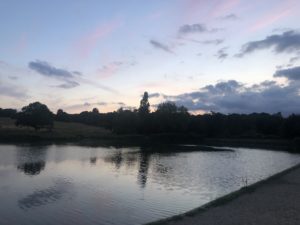 Vivir en Londres